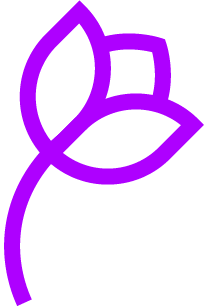 Kazehana Networks